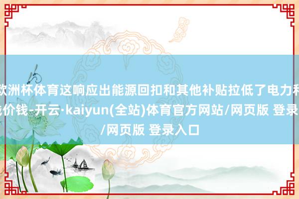 欧洲杯体育这响应出能源回扣和其他补贴拉低了电力和房钱价钱-开云·kaiyun(全站)体育官方网站/网页版 登录入口