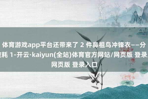 体育游戏app平台还带来了 2 件鼻祖鸟冲锋衣——分散破耗 1-开云·kaiyun(全站)体育官方网站/网页版 登录入口