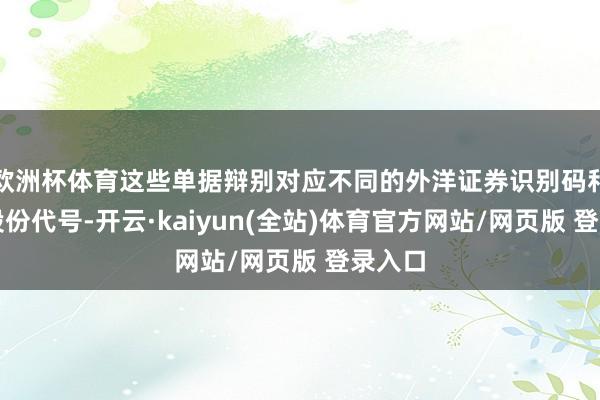 欧洲杯体育这些单据辩别对应不同的外洋证券识别码和债务股份代号-开云·kaiyun(全站)体育官方网站/网页版 登录入口